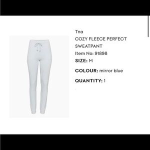 NWT Aritiza TNA Perfect Cozy Sweatapants